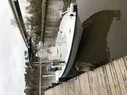Shallow Seas Charters Champion boat image 0