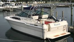 Windrift Sport Fishing Sea Ray (Cruiser) Boat image 0