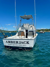 AmberJack Sport Fishing & Tours Bertram Boat image 0