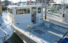 Professional Cryer Fishing Charters Osmond Beal Boat image 0