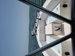 Wild mullet charters mako Boat image 0