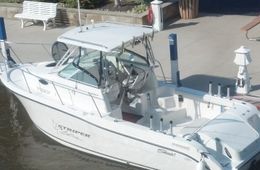 Three Lil Bird Charters SeaSwirl (Walkaround) boat image 0
