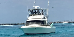 Destin Coast Charters Bertram Boat image 0