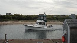 Grey Dolphin Sportfishing Charters Eastern Boats Inc Boat image 0