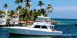 Happy Snapper Sportfishing Viking Sportfish Boat image 0