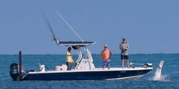 Above the Cut Charters Edgewater Boat image 0