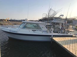 Dog Bone Sportfishing Charters Cherokee Boat image 0