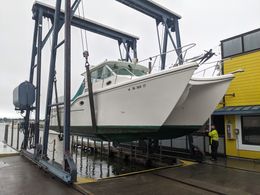 Eriegardless Sportfishing Charters Baha Cruiser (Catamaran) boat image 0