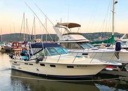 Waypoint Charters Pursuit Boat image 0