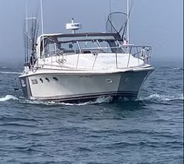 QuickDraw Sport Fishing Trojan Boat image 0