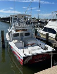 Reel Deal Fishing Charters LLC Bertram boat image 0