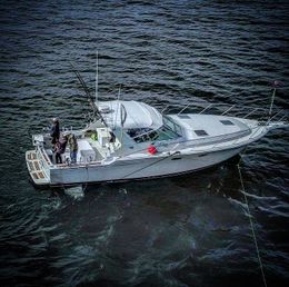 Niagara Fishing Adventures Tiara Boat image 0