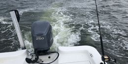 Louisiana Blast n Cast Charters Ranger Boat image 0