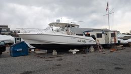 Salt Line Charters Boston Whaler Boat image 0