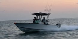 No Limit Sportfishing SeaVee (Center console) Boat image 0