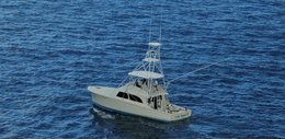 Lady Pamela 2 Sport Fishing Custom Carolina boat image 0