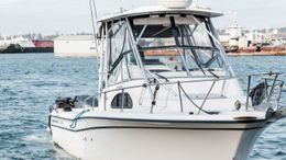 Storm Rider Fishing Adventures Grady-White (Cuddy cabin) Boat image 0