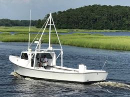 Fish Screamer Charters Beaver (Center Console) boat image 0