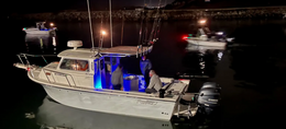 Barbarossa Fishing C-Hawk (Pilothouse) Boat image 0