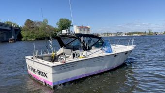 In The Box Fishing Charters Tiara Boat