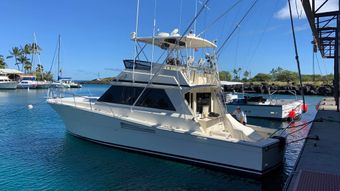 Silky Sportfishing Viking Boat