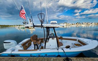 Reel Nice Surprise Seapro 239 Boat