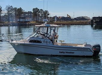 Salty Hooker Charters Grady White (Walkaround) Boat