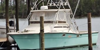 Freebird Charters Blazer Bay boat