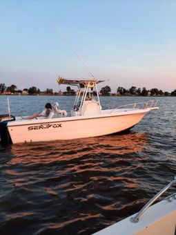Reel Smoker Sportfishing Seafox Boat