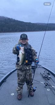 Get the Net Guide Service Crestliner Boat