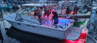 Reel Mania Sport Fishing Tiara Boat