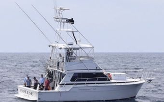 Impulse Sportfishing Bertram Boat