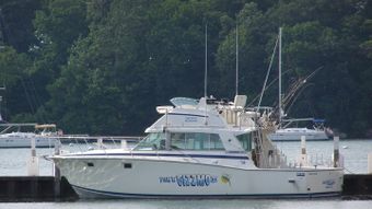 Gizzmo Charters Bertram Boat