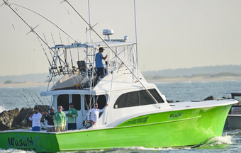 wasabi sportfishing buddy Harris Boat