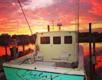 wasabi sportfishing Bonner custom Boat