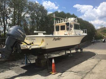 Blueline  Fishing  Charters Parker Sport Cabin boat