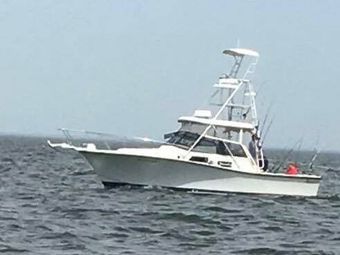 Rockin N Rowan Fish Charters Rampage (Express cruiser) Boat