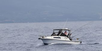 Playtime sportfishing Shamrock Boat