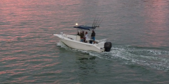 FAFO Charters Cobia 256 Boat