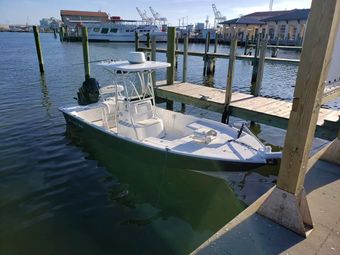 Fish Assassin Charters Blazer Bay (Bay boat) boat