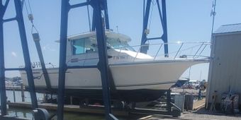 Outcast sportfishing Baha Cruise Boat