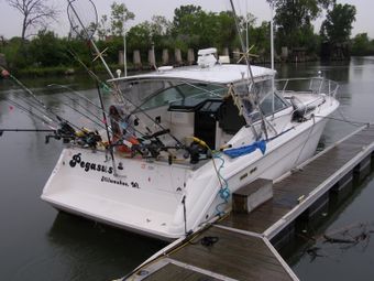 Leisure Time Charters Sea Ray Express boat