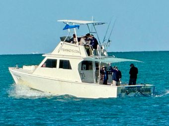 Second Nature Charters Torres Boat