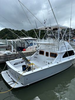 Reel Bless Fishing Charter Bertram Boat