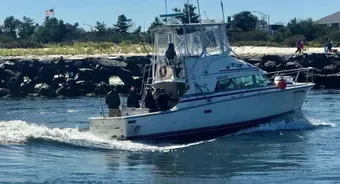 Wots Up Dock Charter Fishing Bertram Boat