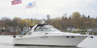 My Way Charters Sea Ray (Express cruiser) Boat