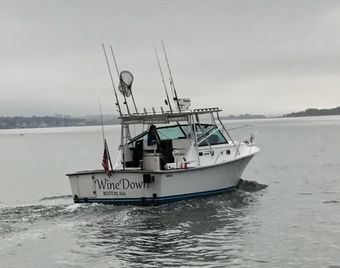 Wine Down Boston Shannon Brendan (Downeast) Boat