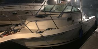 Wet Willy Charters Parker Boat
