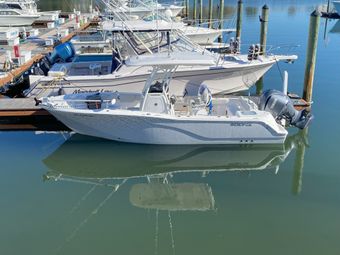 Bubba Thing Charters Sea Fox Boat