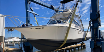 All Jacked Up LLC Albemarle Boat
